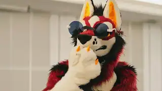 毛毛出沒名單